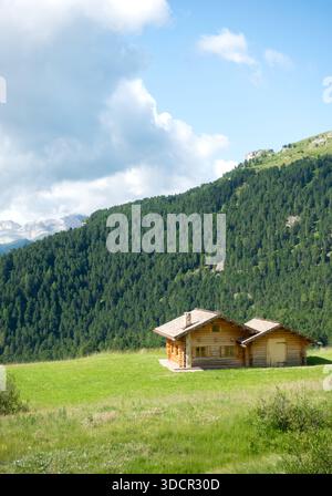 Piccola baita rustica in legno nel verde prato che si affaccia su un bosco di abeti in estate in Val Gardena, alto Adige nelle Dolomiti italiane Foto Stock