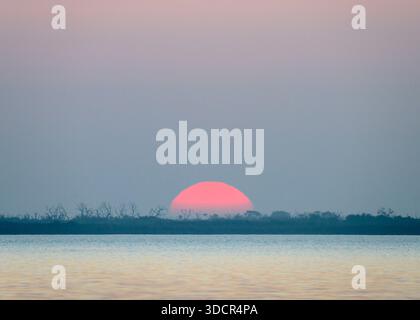 Il sole sorge sulle paludi della costa del golfo, il Goose Island State Park, la contea di Aranzas, Texas, Stati Uniti. Foto Stock