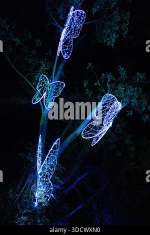 Tel Aviv, Israele, 25 dicembre 2025: Le persone partecipano allo spettacolo di luci LUMAGICA Holidays allo Yarkon Park di Tel Aviv, Israele il giorno di Natale - 25 dicembre 2025. Crediti: Lev Radin/Alamy News Live Foto Stock