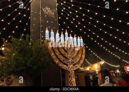 Tel Aviv, Israele, 25 dicembre 2025: Le persone partecipano allo spettacolo di luci LUMAGICA Holidays allo Yarkon Park di Tel Aviv, Israele il giorno di Natale - 25 dicembre 2025. Crediti: Lev Radin/Alamy News Live Foto Stock