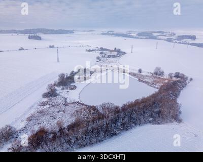 Vista aerea di un piccolo laghetto ghiacciato circondato da campi innevati e alberi nelle Highland, Vysocina, Repubblica Ceca Foto Stock