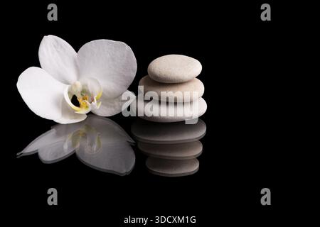 Una composizione serena caratterizzata da una fioritura di orchidee bianca abbinata a una pila bilanciata di pietre zen, il tutto su sfondo nero riflettente fino a Highlig Foto Stock
