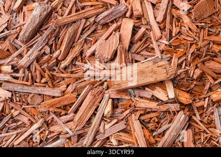 Primo piano di pacciame di legno tritato che formano una consistenza ruvida e naturale. Foto Stock