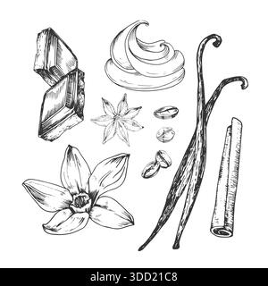 Illustrazioni vettoriali di chicchi di caffè, vaniglia, cannella e fette di cioccolato Illustrazione Vettoriale