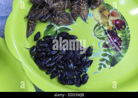 Deliziosi insetti fritti su vassoio di plastica verde per mangiare mostrando croccanti consistenze di snack esotici che rappresentano la cultura asiatica locale e la tradizionale g Foto Stock