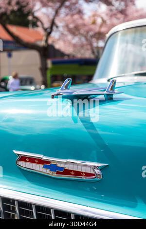 La parte anteriore di una Chevrolet bel Air del 1955, con l'iconico logo "bowtie" e un cappuccio decorato a forma di aereo stilizzato Foto Stock