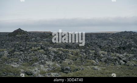 Arido paesaggio vulcanico. Paesaggio islandese, terre di rocce vulcaniche e muschio. Montagne in lontananza, terre desolate. Foto Stock