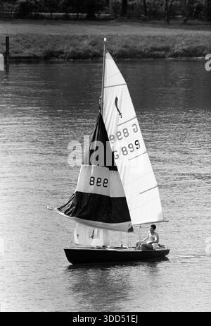60 anni, 14.05.1966, Germania, persone, uomo 25 - 30 anni, tempo libero, sport acquatici, barca a vela sul lago Sechs-Seen-Platte a Duisburg-Wedau, Duisburg, regione della Ruhr, basso Reno, Renania, Renania settentrionale-Vestfalia, NRW Foto Stock