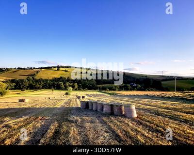 Balle di fieno dorate che riposano su campi ondulati vicino a Blairgowrie, catturando la calma bellezza rurale della campagna scozzese nella calda luce serale Foto Stock