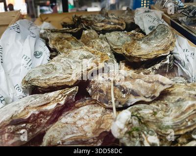 Ostriche in vendita in una pescheria. Foto Stock