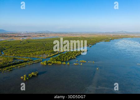 La vista aerea rivela fitte foreste di mangrovie che confinano con tortuosi corsi d'acqua vicino a Kampot, Cambogia. La scena presenta una vegetazione lussureggiante, canali di marea e ampie acque blu sotto la luce del giorno, con colline lontane che incorniciano l'orizzonte. Foto Stock