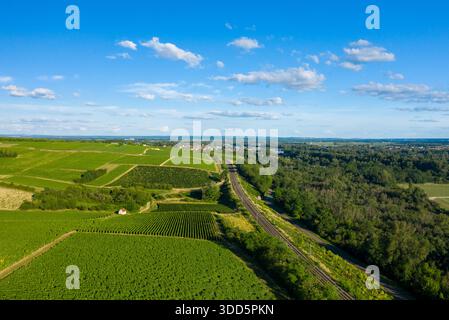 Expansive green vineyards and a railway line stretch across rolling hills under a bright blue sky near Pouilly sur Loire. The landscape is sunlit, open, and tranquil, with lush fields and distant village visible. Foto Stock