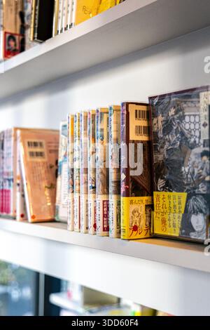 Interno del Manga Art Hotel, capsule hotel pieno di librerie manga, Chiyoda City, Tokyo, Giappone Foto Stock