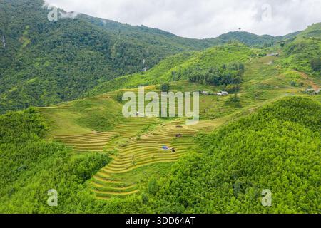 Ampia vista aerea dei campi di riso terrazzati annidati tra lussureggianti colline ricoperte di bambù vicino a Sapa, Vietnam. Rifugi rurali sparsi e fitte foreste creano un paesaggio vivace e tranquillo sotto cieli coperti. Foto Stock