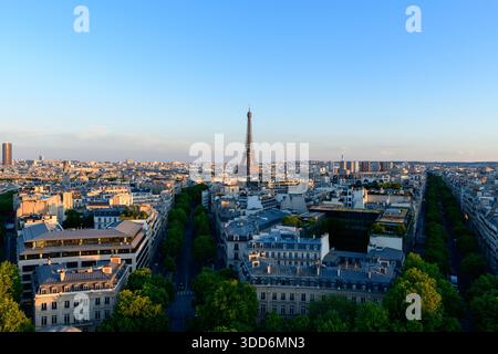 Vista panoramica sopraelevata della Torre Eiffel che si innalza sopra i classici tetti parigini e i viali alberati, immersa nella luce blu chiara della sera con una tranquilla atmosfera urbana. Foto Stock