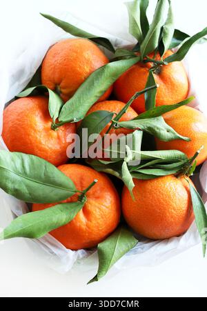 Gruppo di clementine fresche o mandarini con foglie isolate su sfondo bianco. Cibo sano. Foto Stock