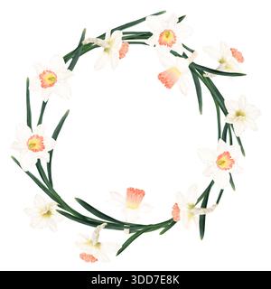 Una corona di narcisi primaverili e foglie verdi. Illustrazione acquerello. La cornice rotonda in fiore è isolata su uno sfondo. Il tema è la primavera, EAS Foto Stock
