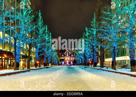 Vista notturna dell'illuminazione degli uffici governativi di Hokkaido illuminata con la neve in inverno a Sapporo, Hokkaido, Giappone. Foto Stock