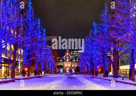 Vista notturna dell'illuminazione degli uffici governativi di Hokkaido illuminata con la neve in inverno a Sapporo, Hokkaido, Giappone. Foto Stock