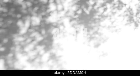 Texture gobo astratta leggera su sfondo in cemento. Illustrazione vettoriale realistica di ombre di foglie di alberi e luce solare sulle pareti, motivo naturale con silhouette floreali su superficie bianca, giardino estivo bg Illustrazione Vettoriale