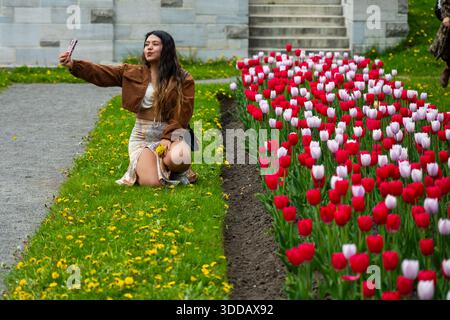 Una giovane donna si inginocchia sull'erba facendo un selfie accanto a un letto di tulipani rossi e bianchi vicino a gradini di pietra in un parco. Montreal, Canada - 12 maggio 2024 Foto Stock