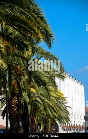 La vista delle vivaci palme verdi ondeggiano dolcemente contro l'edificio bianco sotto il cielo azzurro, una scena idilliaca che si dispiega, Dax, Francia. Foto Stock