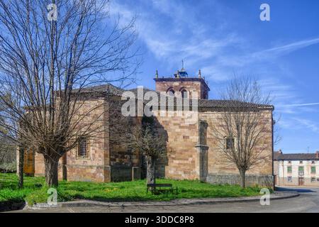 Vista laterale della chiesa romanica di San Pelayo con dettagliate opere in pietra e torre a Palencia Foto Stock