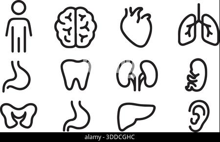 Illustrazione vettoriale delle icone della linea anatomica umana Illustrazione Vettoriale