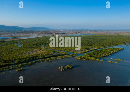 La prospettiva aerea cattura i tortuosi canali di marea che si intrecciano attraverso fitte foreste di mangrovie vicino a Kampot, Cambogia. La scena presenta vegetazione lussureggiante, ampie zone umide e colline lontane sotto il cielo azzurro, evidenziando i motivi naturali della regione e l'atmosfera tranquilla. Foto Stock