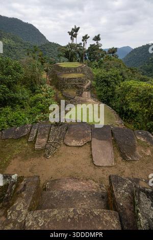 Terrazze e palme più alte Ciudad Perdida città perduta Colombia Foto Stock