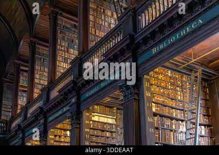 Dublino, Irlanda - settembre 08. 2025: Librerie nella Long Room del Trinity College Old Library di Dublino. È una delle più famose biblioteche della Foto Stock