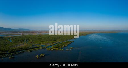 L'ampio panorama aereo mostra fitte foreste di mangrovie che confinano con tortuosi canali di marea e ampie acque blu lungo la costa vicino a Kampot, in Cambogia. La scena presenta vegetazione lussureggiante, tranquille paludi e colline lontane sotto un cielo limpido. Foto Stock