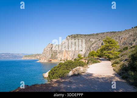 Tortuoso sentiero costiero delimitato da aspre scogliere e vibranti pini verdi, che si affaccia sulle acque turchesi sotto un cielo blu senza nuvole. La tranquilla scena mediterranea presenta superfici rocciose e spazi naturali aperti. Foto Stock