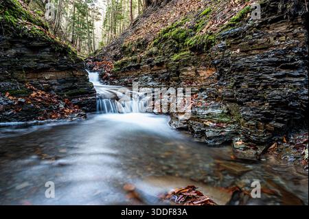 Un sereno ruscello autunnale si snoda intorno a rocce calcaree, adornate da un tappeto dorato di foglie di calce cadute in una foresta polacca vicino a Żywiec Foto Stock
