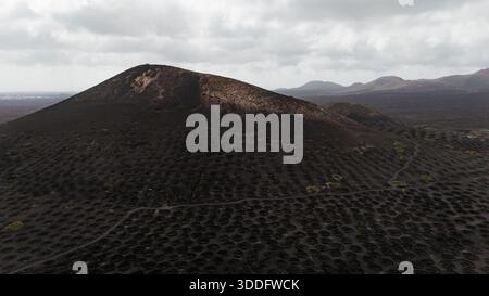 Paesaggio vulcanico dei vigneti di la Geria, Lanzarote, Isole Canarie, Spagna Foto Stock