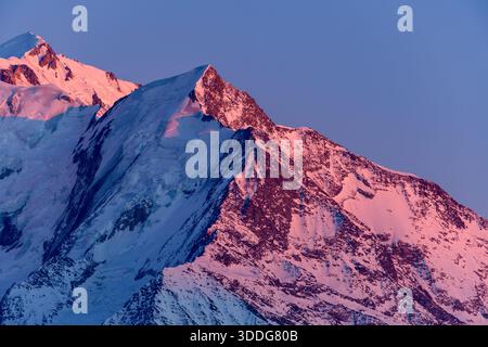 La vetta innevata dell'Aiguille de Bionnassay si illumina di vivaci sfumature rosa del sole del mattino presto, evidenziando le aspre trame alpine sotto il cielo limpido delle Alpi francesi. Foto Stock