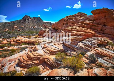 Formazioni di arenaria a strati vegetazione del deserto e paesaggio montano robusto Foto Stock