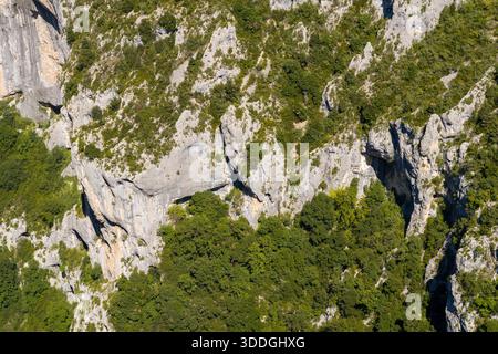 Le scogliere calcaree a strapiombo ricoperte da macchie di fitti alberi verdi e arbusti sorgono in modo ripido nella Gola del Verdon, illuminate dalla luce del sole e da profonde ombre naturali. Foto Stock