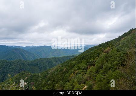 L'ampia vista di creste di montagna densamente boscose si estende in lontananza sotto un cielo spettacolare coperto nella regione di Koya San. Strati di vegetazione verde e vette ondulate creano un tranquillo paesaggio naturale. Foto Stock