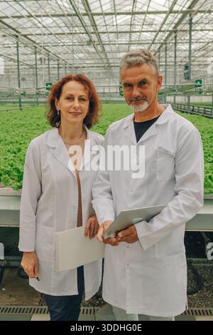 Analisi di laboratorio delle piante, analisi dei nutrienti nella lattuga, valutazione scientifica dei livelli di nutrienti delle colture, botanico che utilizza tecniche di laboratorio per la valutazione Foto Stock