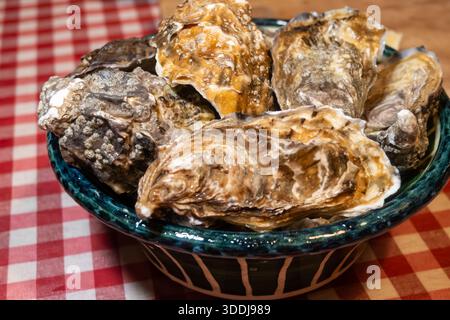 Ostriche di oleron fresche sul mercato francese settimanale, cibo di strada, porzioni di ostriche in ciotola, pesce, Francia Foto Stock