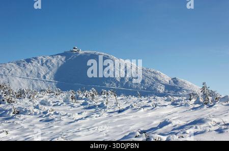 Paesaggio invernale del monte Snezka (Sniezka, Schneekoppe) a Krkonose / Monti giganti visti dal lato polacco vicino a Karpacz, neve fresca, cielo blu Foto Stock