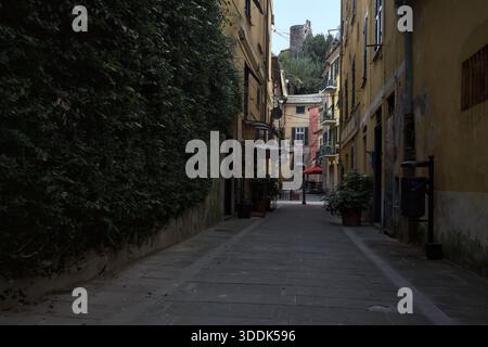 Vicolo stretto con un muro ricoperto di edera e una scogliera in lontananza con un castello sulla sua sommità, incorniciato dagli edifici sulla strada stessa, in una Foto Stock