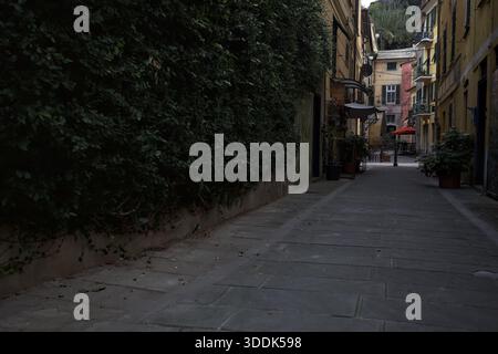 Vicolo stretto con un muro ricoperto di edera e una scogliera in lontananza con un castello sulla sua sommità, incorniciato dagli edifici sulla strada stessa, in una Foto Stock