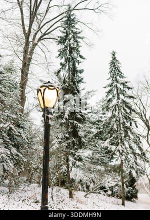 Lampada da parco coperta di neve e alberi sempreverdi a Central Park NYC Foto Stock