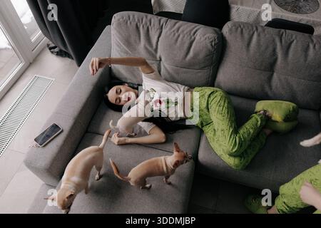 Ripresa ad alto angolo di una giovane donna in pigiama verde e pantofole, sdraiata su un divano grigio e giocando con tre piccoli cani chihuahua in un luminoso e moderno li Foto Stock