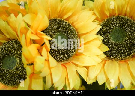 Bellissimi girasoli gialli artificiali. Immagine ravvicinata Foto Stock