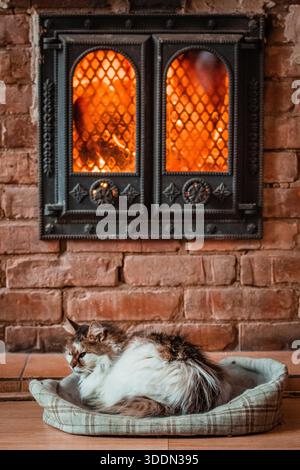 Un accogliente gatto domestico che riposa in un letto per animali domestici di fronte a un caldo e luminoso caminetto, creando un'atmosfera invernale al coperto tranquilla e invitante Foto Stock