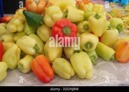 Pepe rosso su sfondo di peperoni gialli nella stalla del mercato vegetale a Gruz, Dubrovnik, Croazia Foto Stock