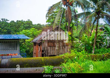 Affascinante scenario rurale a San Cipriano, Valle del Cauca, Colombia, con natura lussureggiante, tradizionali case in legno, e le palme. Foto Stock